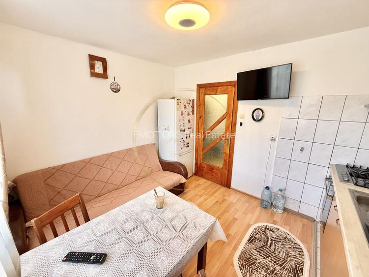 Garsonieră practică și accesibilă în zona Buziașului - 4