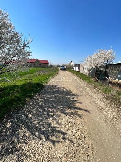 De vanzare lot teren intravilan Dumitrana Magurele - 9