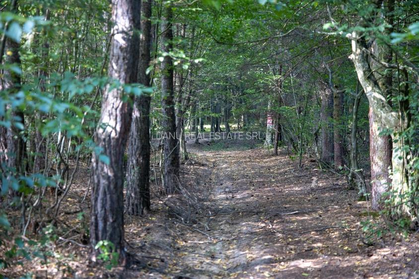 Investitie premium in turism-teren 6800mp langa lacuri Vulcan Brasov - 9