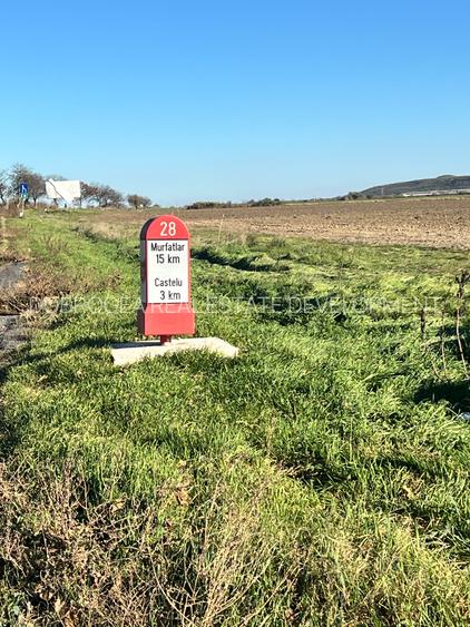 Medgidia -Teren 3 ha , deschidere la DN 22C , vizavi de Fluvimed Medgidia - 8