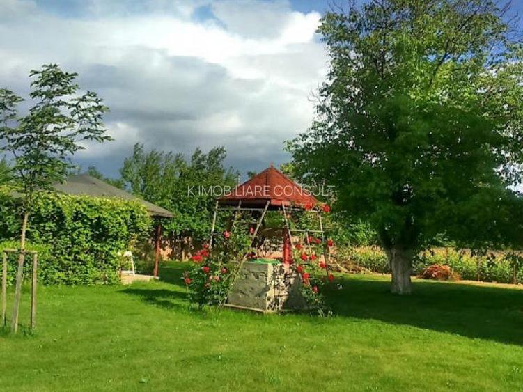 Ciopani vila 5 camere teren 4000 mp - 10