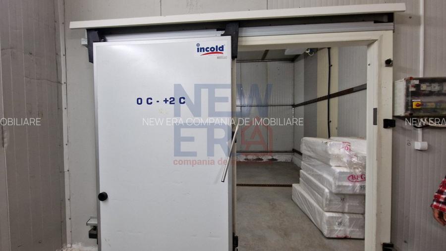 DE VANZARE Platforma cu  2 hale de 2074 mp amplasate pe un teren de 8762 mp - 11