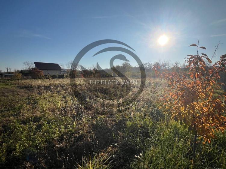 Teren intravilan de vanzare | 12.650 mp | Ghirdoveni, | Comision 0% - 11