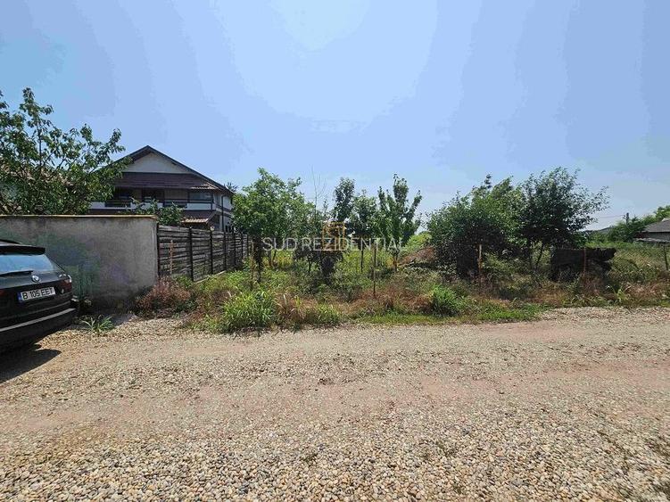 Teren de vanzare, 561 mp, strada Cetatea Alba, Mamina, Comuna Berceni - 4