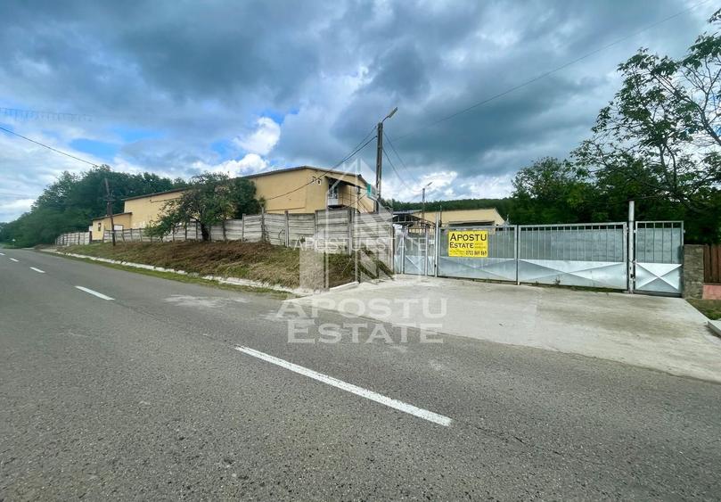 Spatii productie si depozitare, zona Sebis - Prunisor-Carand - 23