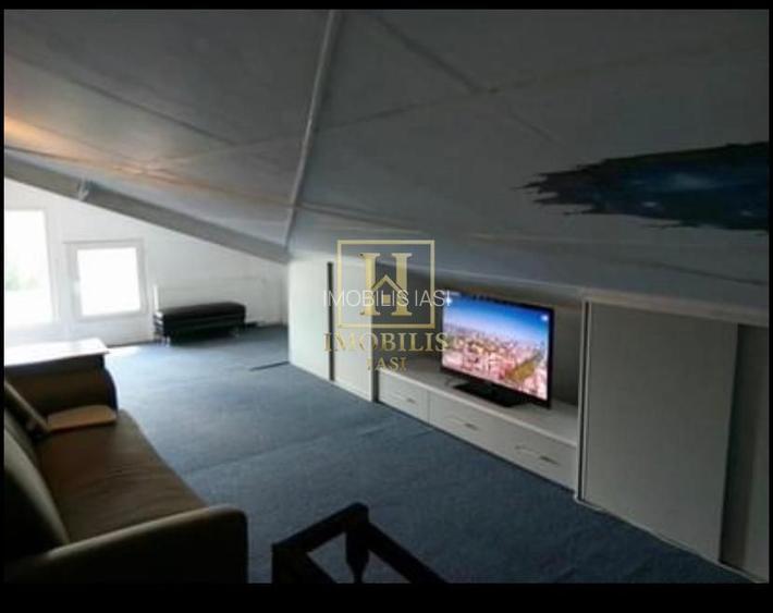 Apartament 1 camera Dec + mansarda 50 mp Nicolina Lidl 380 euro - 7