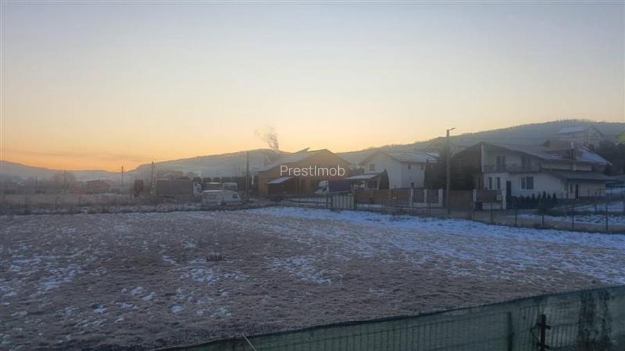 Teren Ivanesti-Livezeni 4300 mp - 4