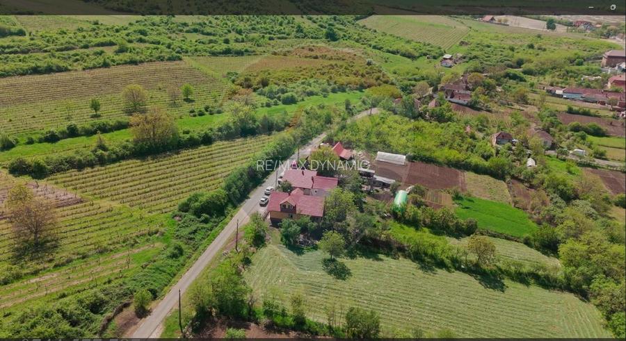 Teren 3.225 mp lângă Cetatea Șiria – utilități , panoramă superba - 4