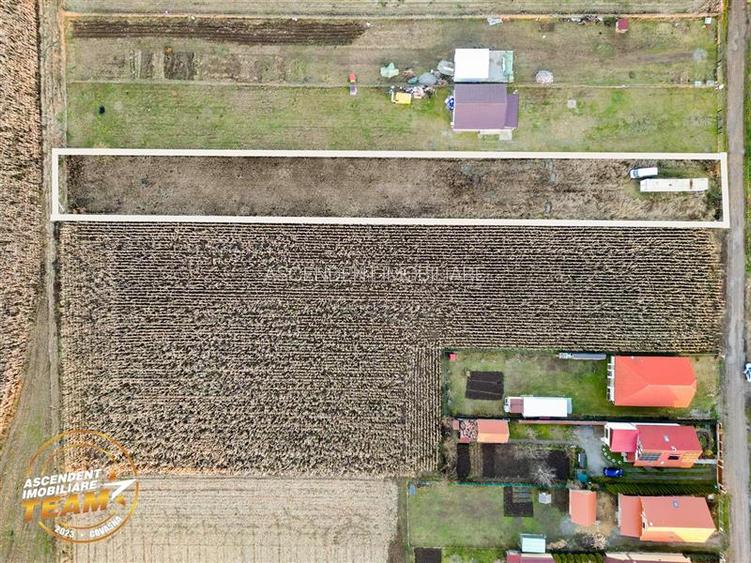 FILM! Teren mixt, 2.493 mp, Chilieni, judetul Covasna - 2