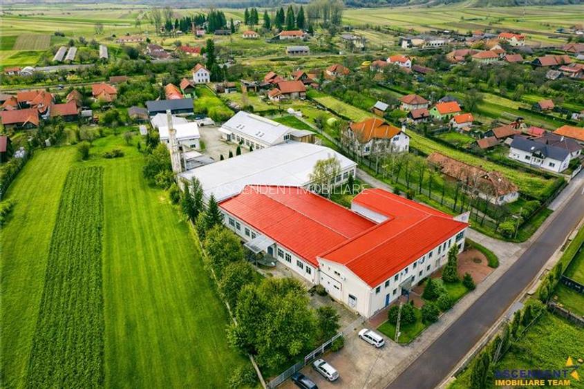 Apreciabil ansamblu:industrial+productie+ birouri+6.322mp teren,Bretcu,Covasna - 45