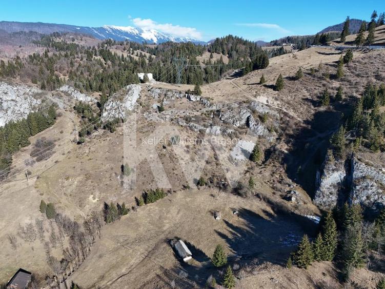 Teren intravilan de vanzare Dambovicioara , Piatra Craiului - 5