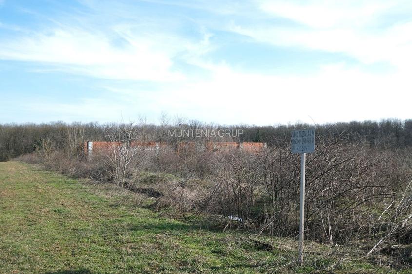 GANEASA, langa lac, padure si vile, 1075 mp. teren construibil - 3