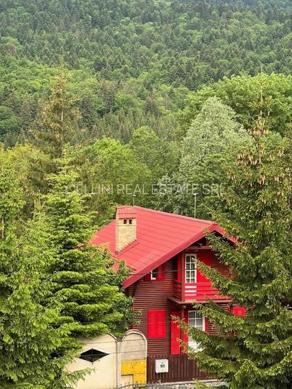 Vila de vis cu parc privat  — Panoramă Unică Spre Crucea Caraiman, - 30