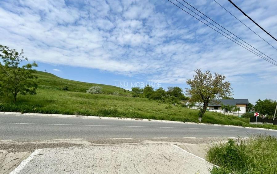 Teren intravilan 834 mp Banu, Dumești, Iași - Deschidere 17m la asfalt - 5
