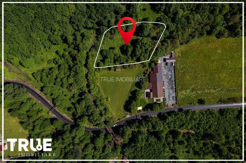 Teren intravilan 2.800 m² în Câmpu Cetății – liniște și natură - 3
