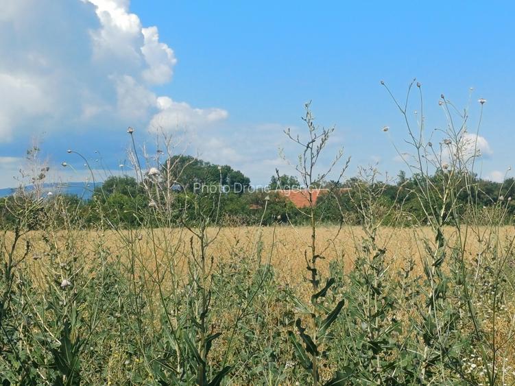 Hub Logistic Buzău: Teren Industrial-Comercial 5.000 mp, lângă DB Schenker / E85 - 7