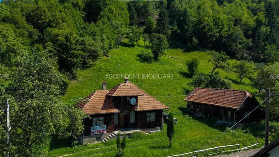 FILM! Proprietate autentica, Bran-Simon, 4.300 mp teren, casa traditionala + ane - 45