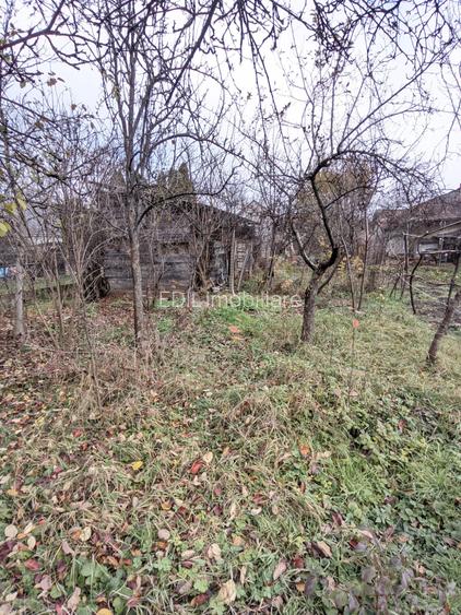 Casă de vânzare, 2 camere, 60 mp, 900 mp teren Dâmbul Rotund zona Dedeman - 11