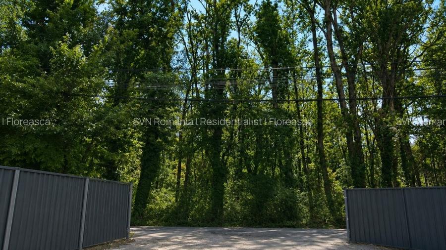 REL4001313 Teren Aleea Teisani padurea Baneasa - 4
