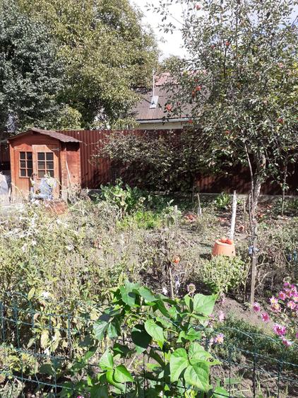 Vand casa P + M, cu 5 camere in zona 7 Noiembrie