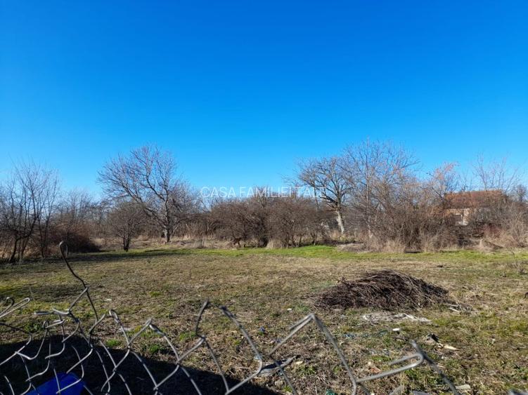 COMISION 0/Teren casă / duplex Mehala Ronat 937 mp – acces rapid oraș - 4