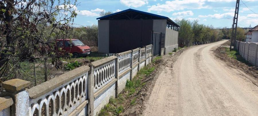 Casă cu hală industrială Drăguțești - 2