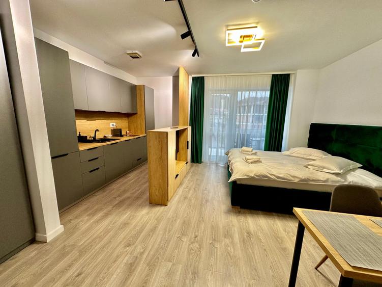 Green Future Sinaia//Studio cu priveliste catre Muntii Baiului