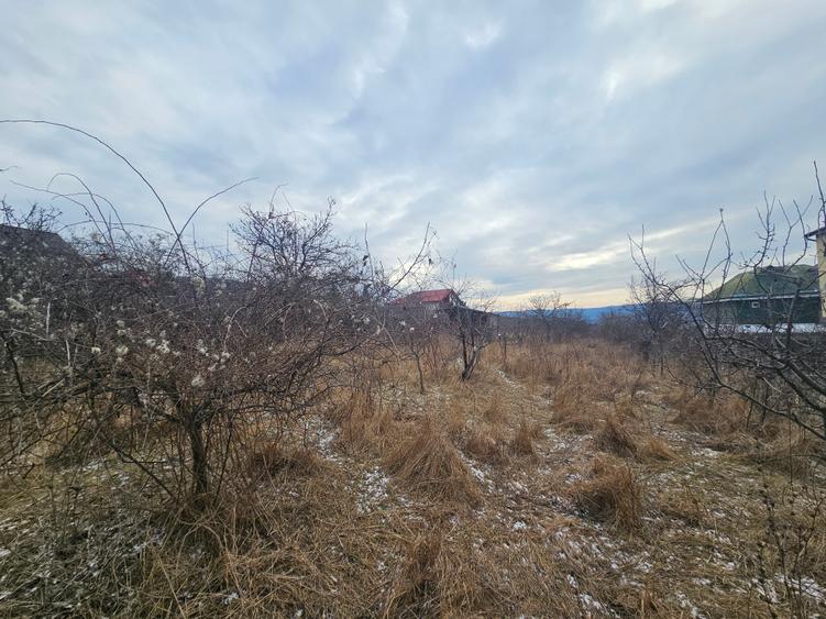 Teren situat in zona Bucium- Pietrarie