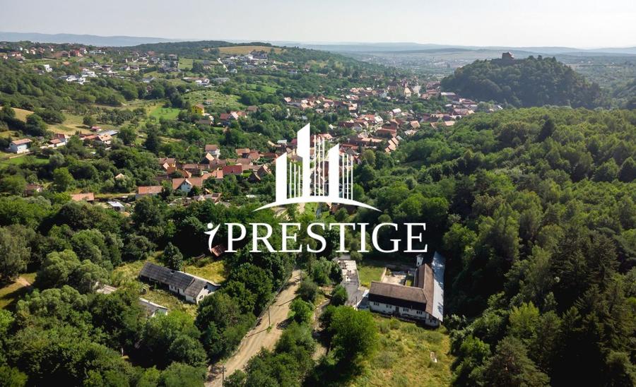 TEREN INTRAVILAN 1013 MP | UTILITĂȚI LA STRADĂ | ZONA PIATRA BROAȘTEI - 7