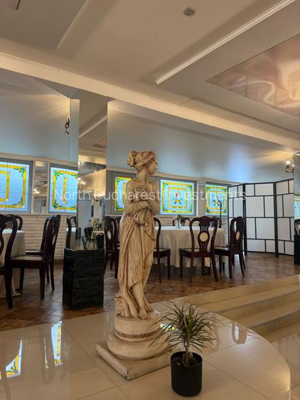 Preluare Restaurant | Parcul Operei | Ideal pentru evenimente - 12