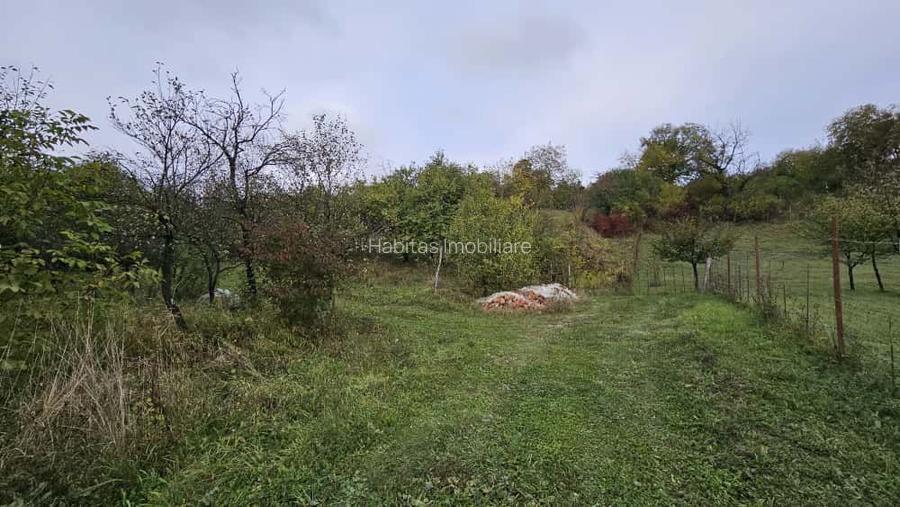 0 % comision, Lot format din 3 parcele, zona Antonio Gaudi-Borhanci - 4