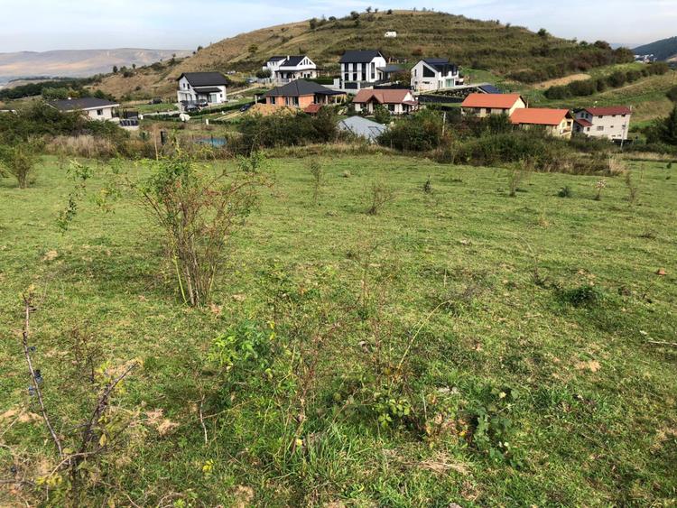Teren Intravilan cuprins in PUG, 5100 mp, Tauti