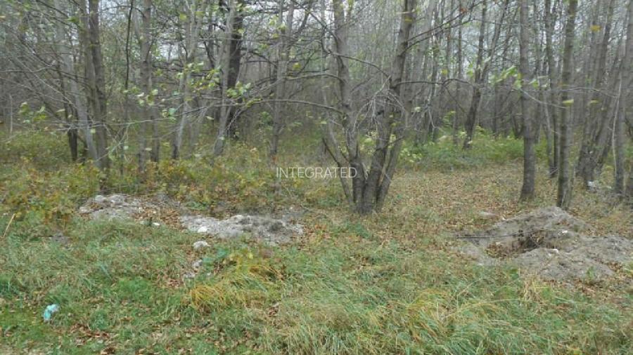 Teren intravilan - 2.740 mp, Predelut - 3