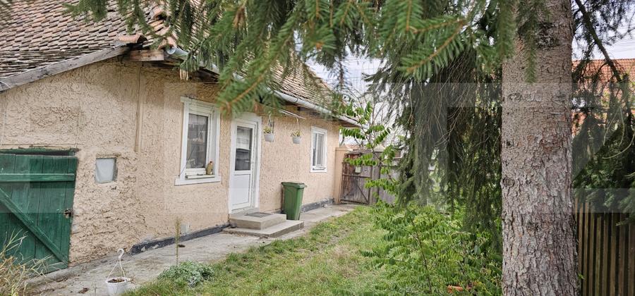 Casă țărănească în centrul localității Ilieni – teren 832 mp.
