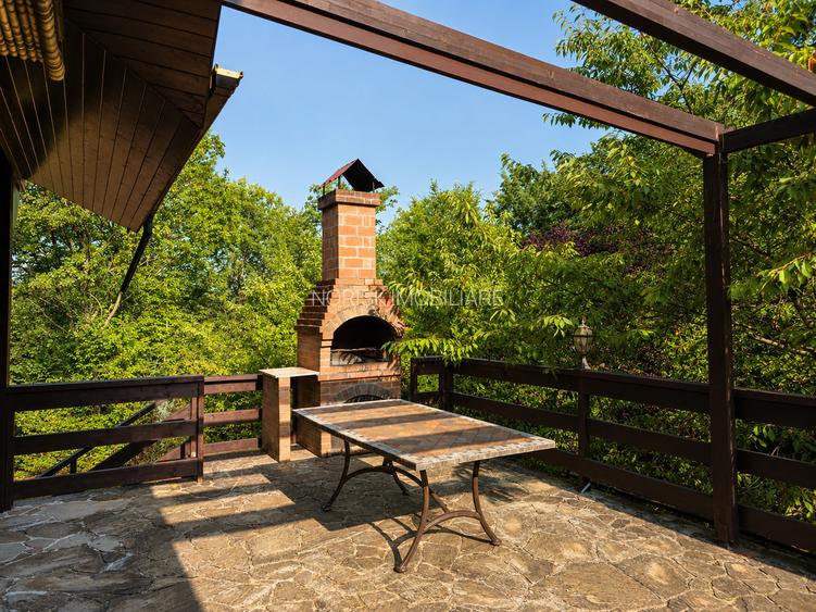 Mountain Chalet | Private Resort | Investment - Nistoresti - 23