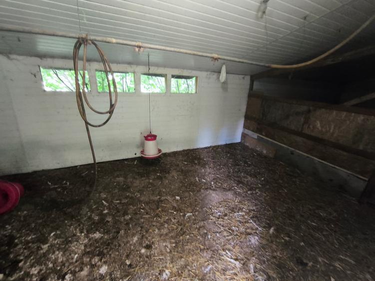 DE VÂNZARE – Domeniu cu casă, teren și afacere zootehnică avicolă în Dochia, NT