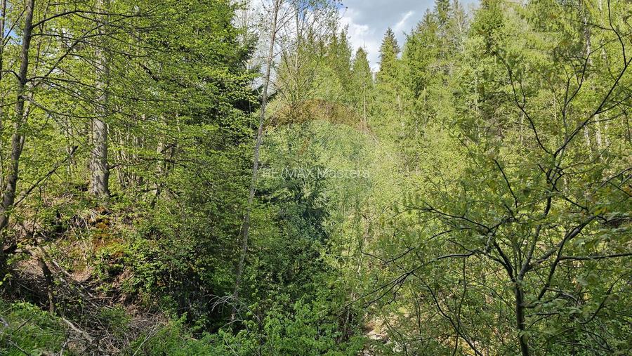Teren 4048mp Campulung Moldovenesc, Strada Izvorul Alb, Suceava - 23