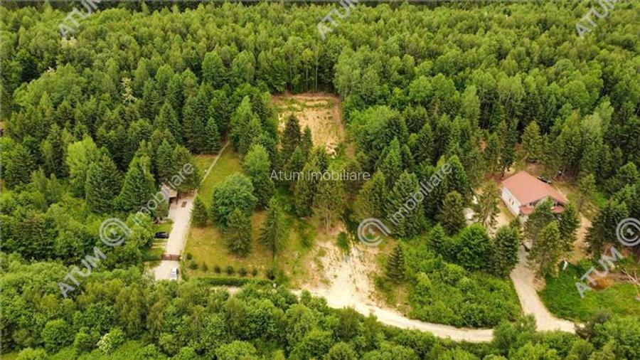 Teren intravilan 3000 mp in Porumbacu de Sus din Sibiu - 11