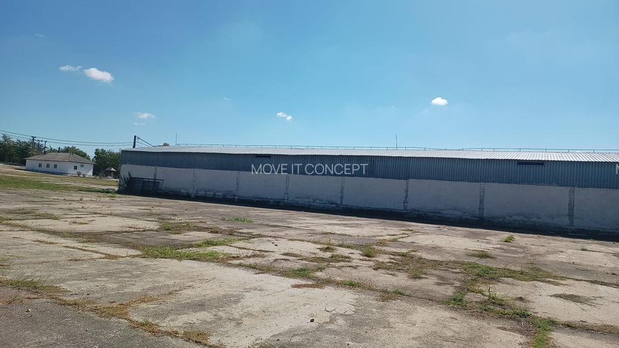 Spatiu industrial -  depozitare hale Baza Receptie Ghimpati Giurgiu - 13