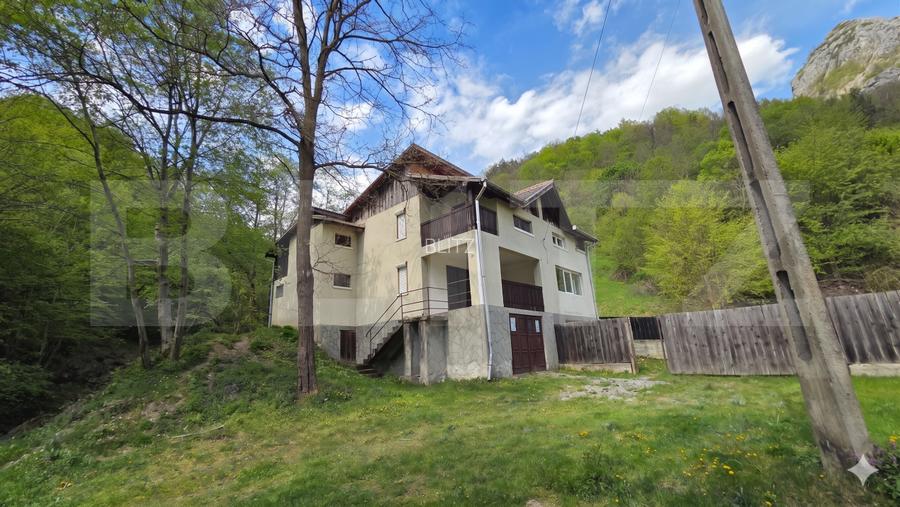 Cabana de poveste în Râmeț | 2000 mp teren + râu pe proprietate | ideală pent - 3