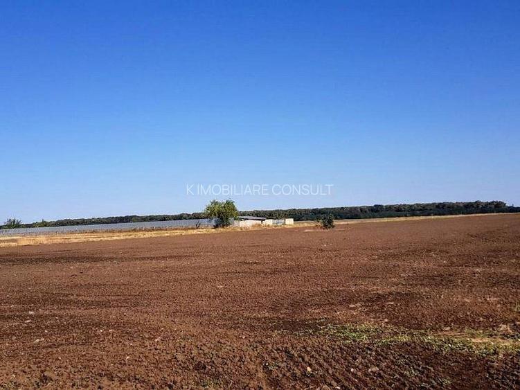 Teren intravilan de vânzare Brănești – DN3, deschidere 60 ml  investie - 4