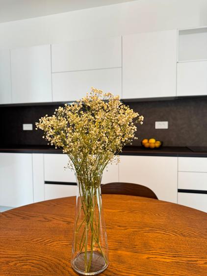 Apartament cu 2 camere | TODI | Etaj 1 | Pet Friendly