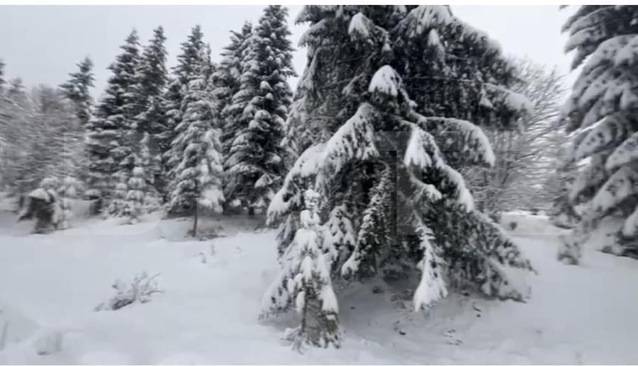 Teren 10,75 ari, intravilan Colibita, cu utilitati