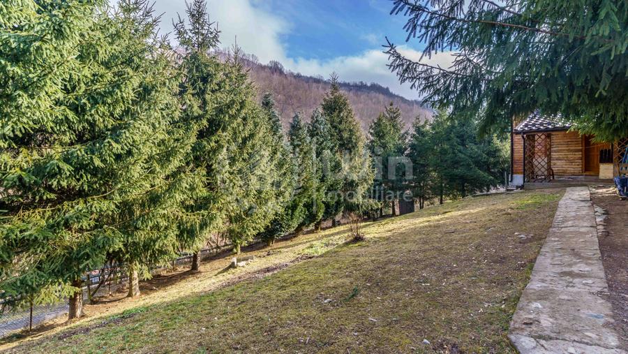 Comision 0% Casa de vacanta in Muntele Rece | Priveliste Panoramica