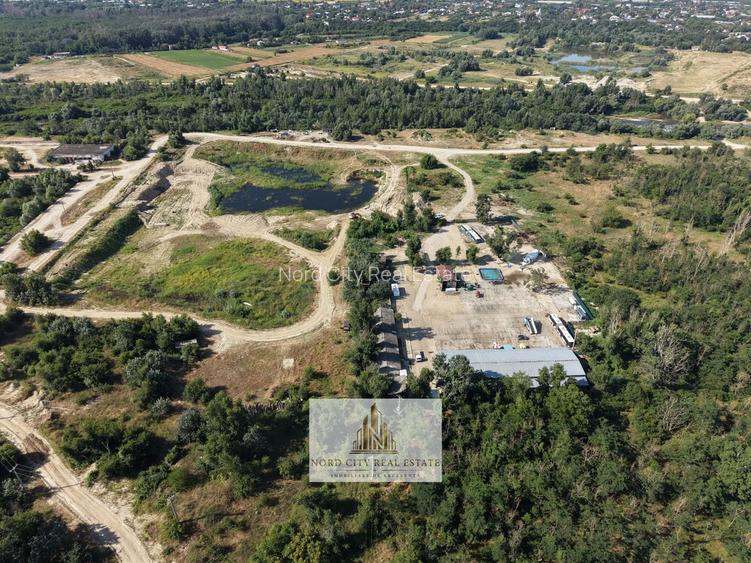 Platformă Industrială 38.615 mp | Hale | Dărăști-Ilfov - 15