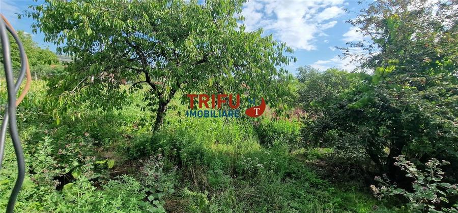 Casa de vanzare cu 1252 mp teren in Ighiu