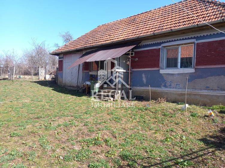 Două case de vânzare – Cerisor – teren generos 6996 mp