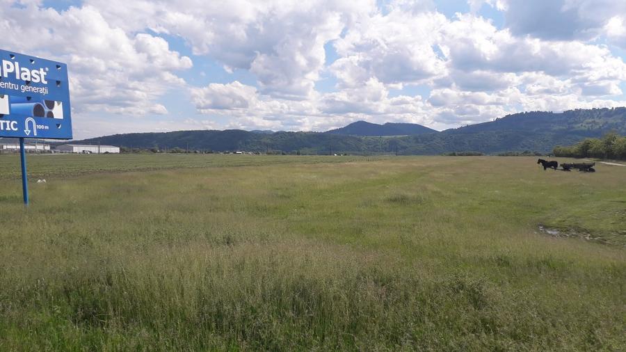 Teren intravilan 8900 mp,Dumbrava Rosiejud Neamt