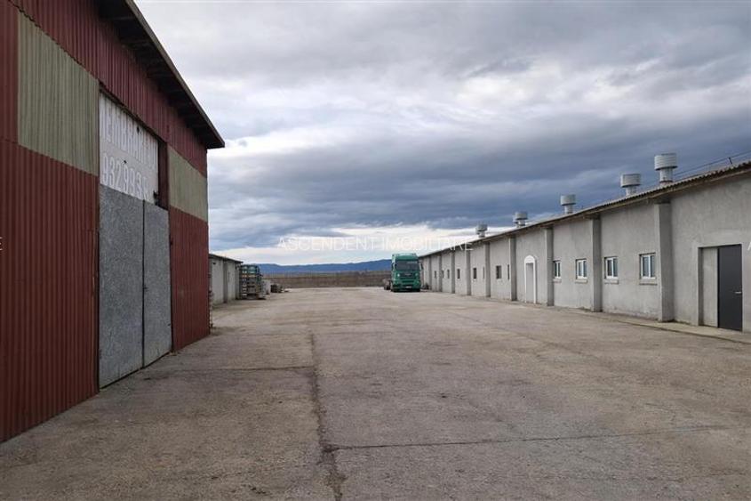Hala industriala versatila,spatii cazare, platforma betonata,2.300 mp,Halchiu - 3