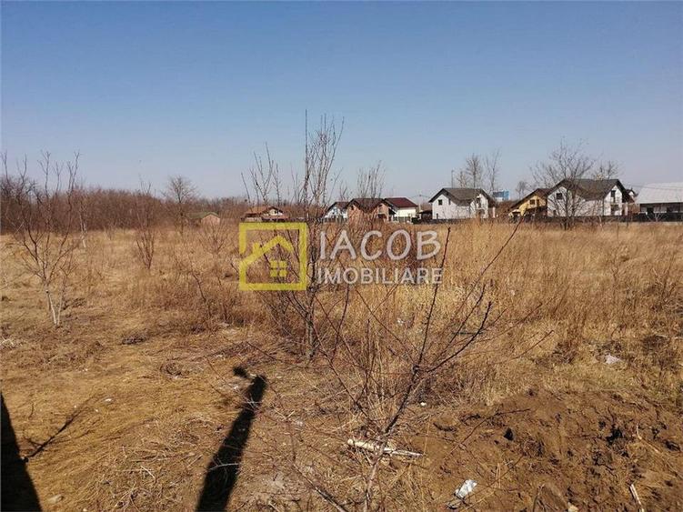 Teren 6208 mp Bacau / Strada 2 Stejari